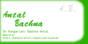 antal bachna business card